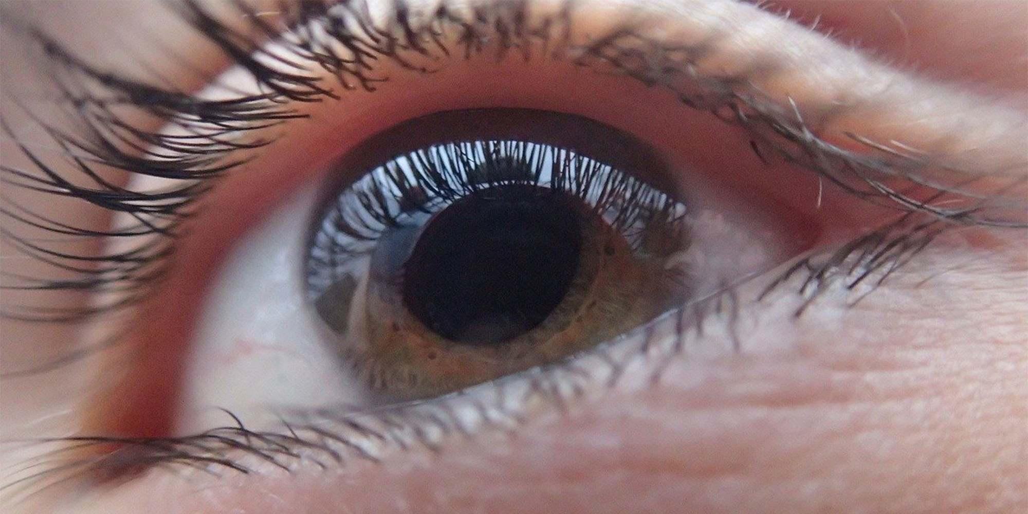 Oogarts omschrijving functie